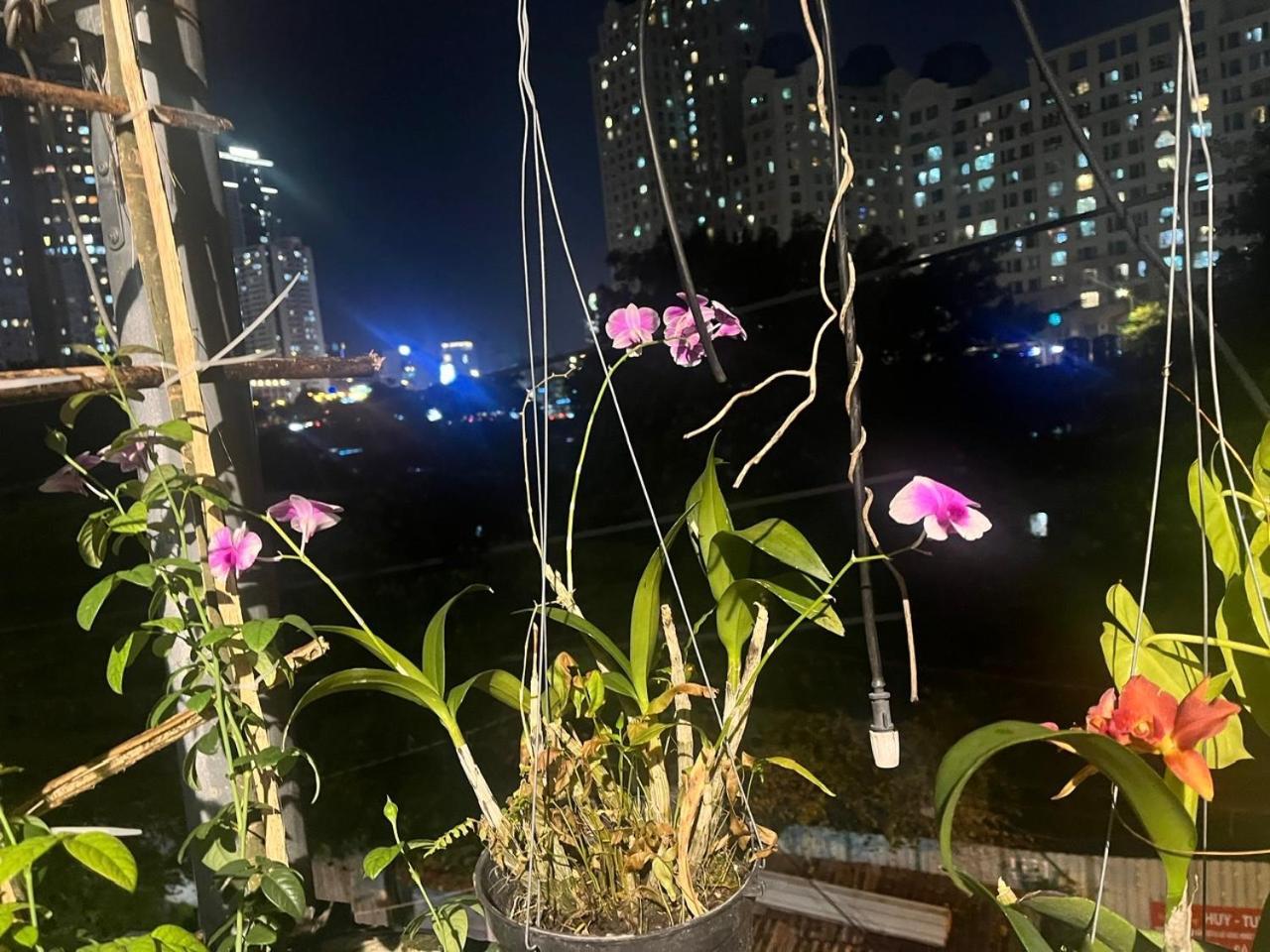 May House Binhthanh Ho Şi Min Exterior foto